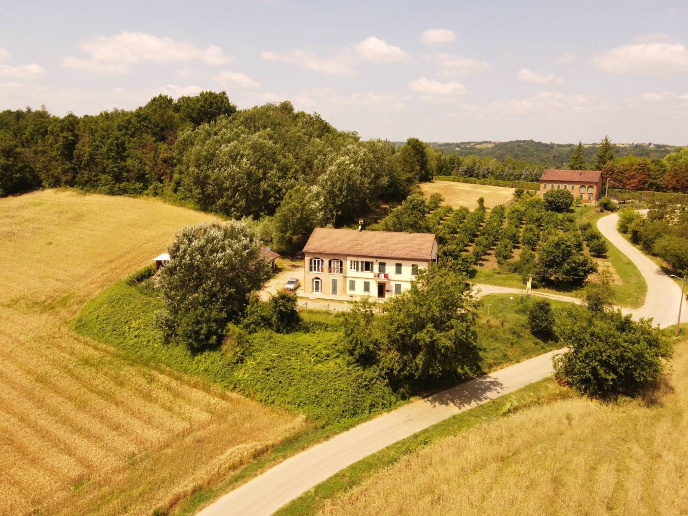 Vista
