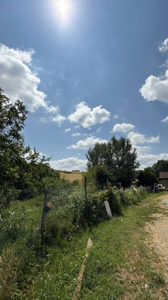 Terreno