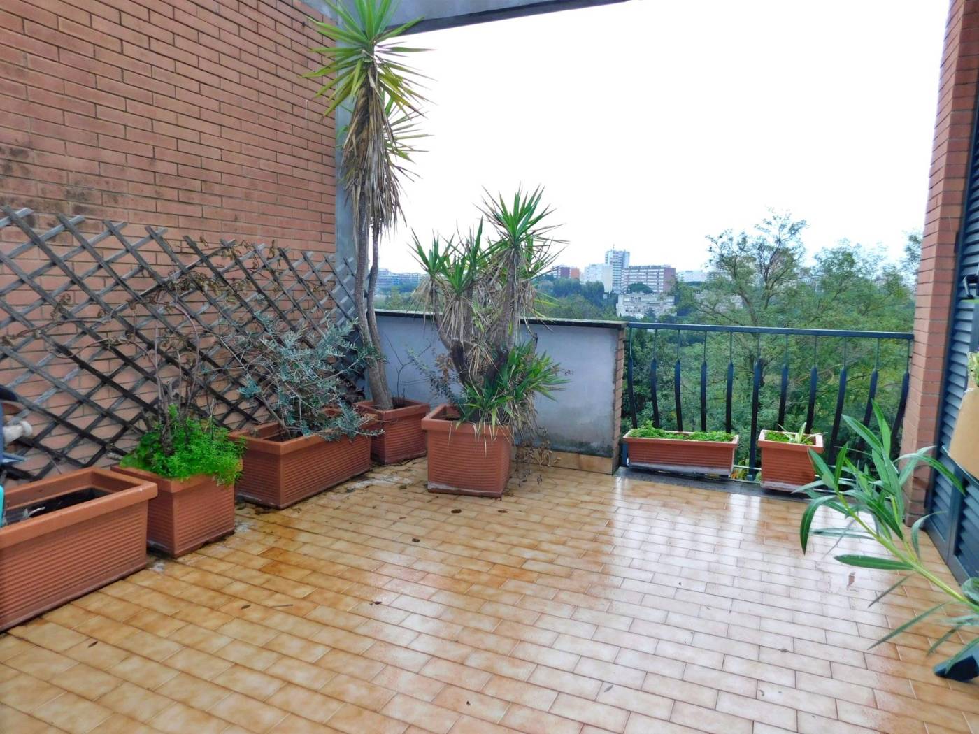 Terrazzo
