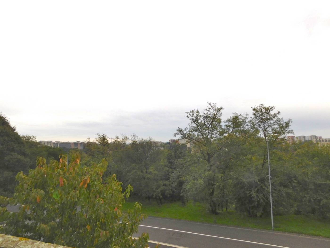 Vista