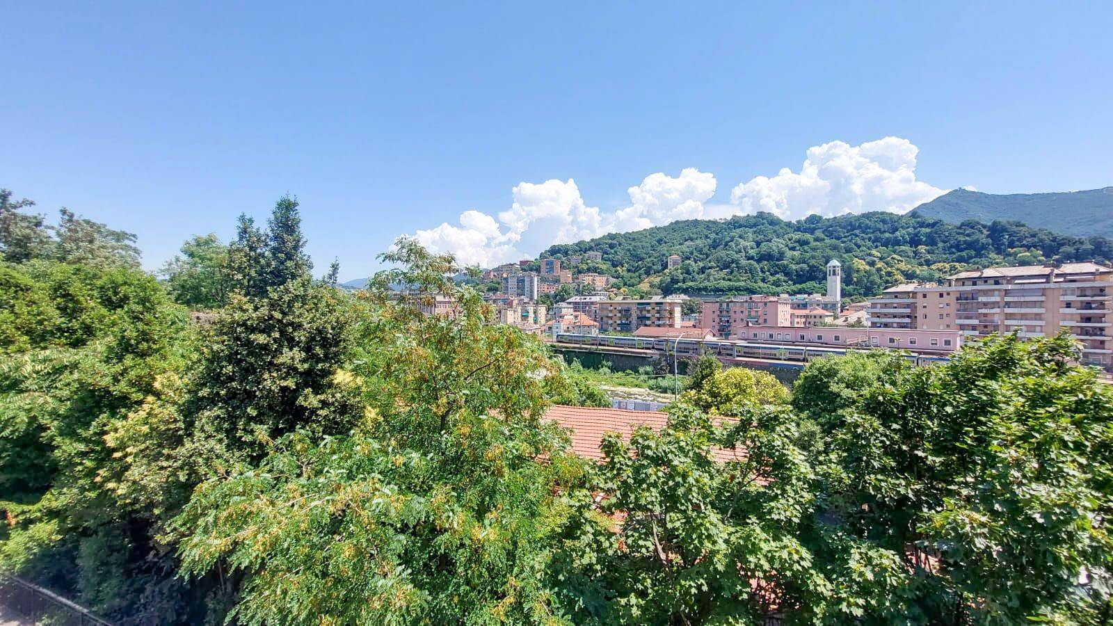 Vista