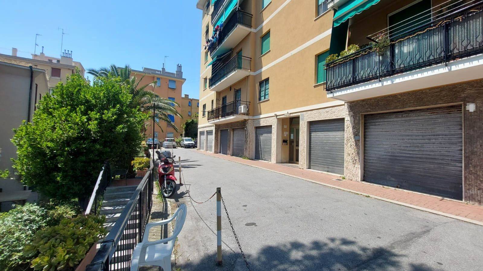 Zona