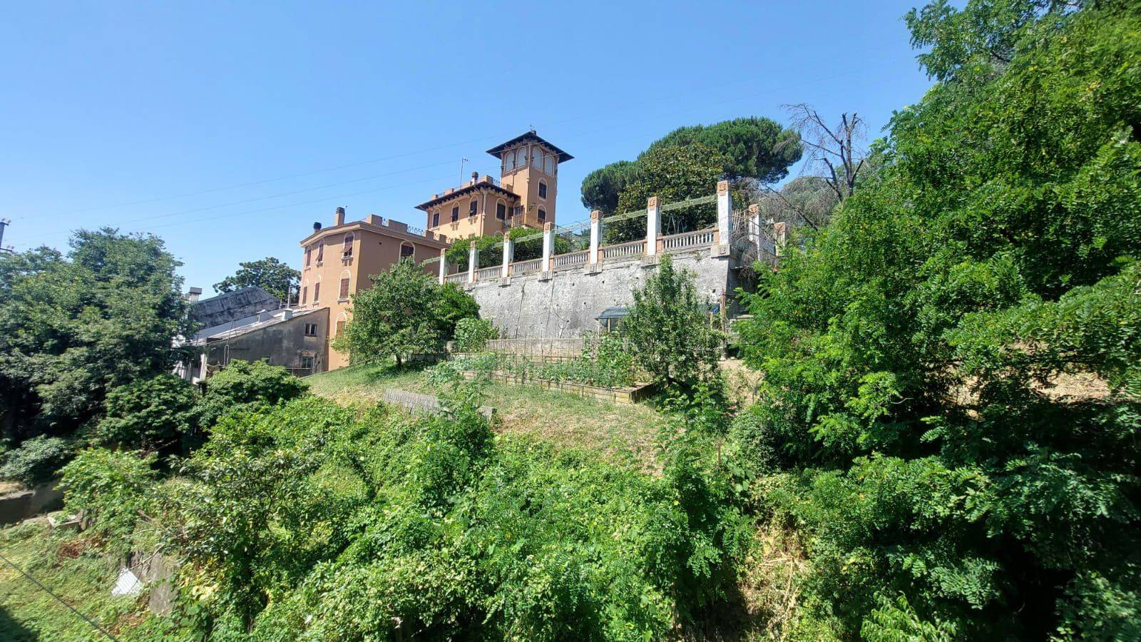 Terreno