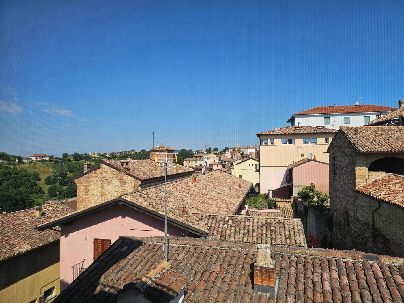 Vista