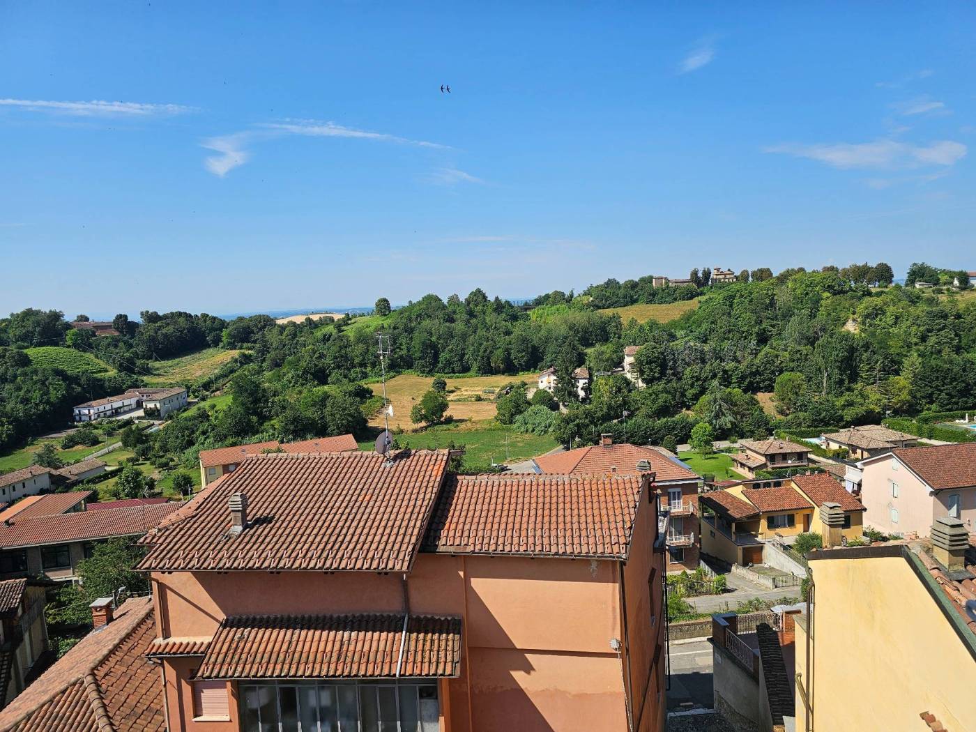 Vista