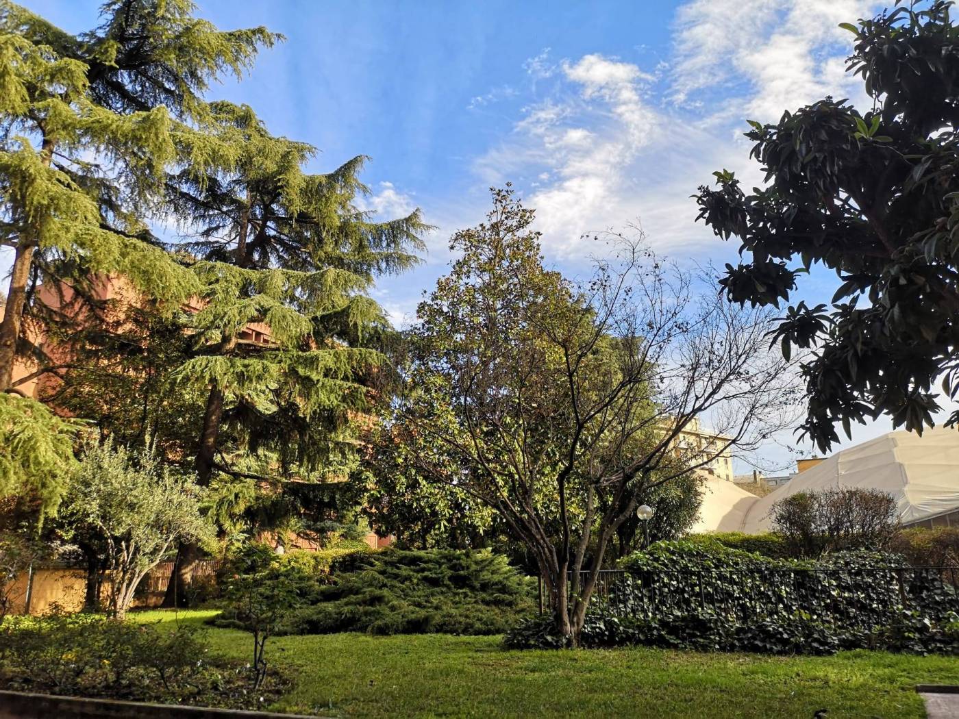 Giardino
