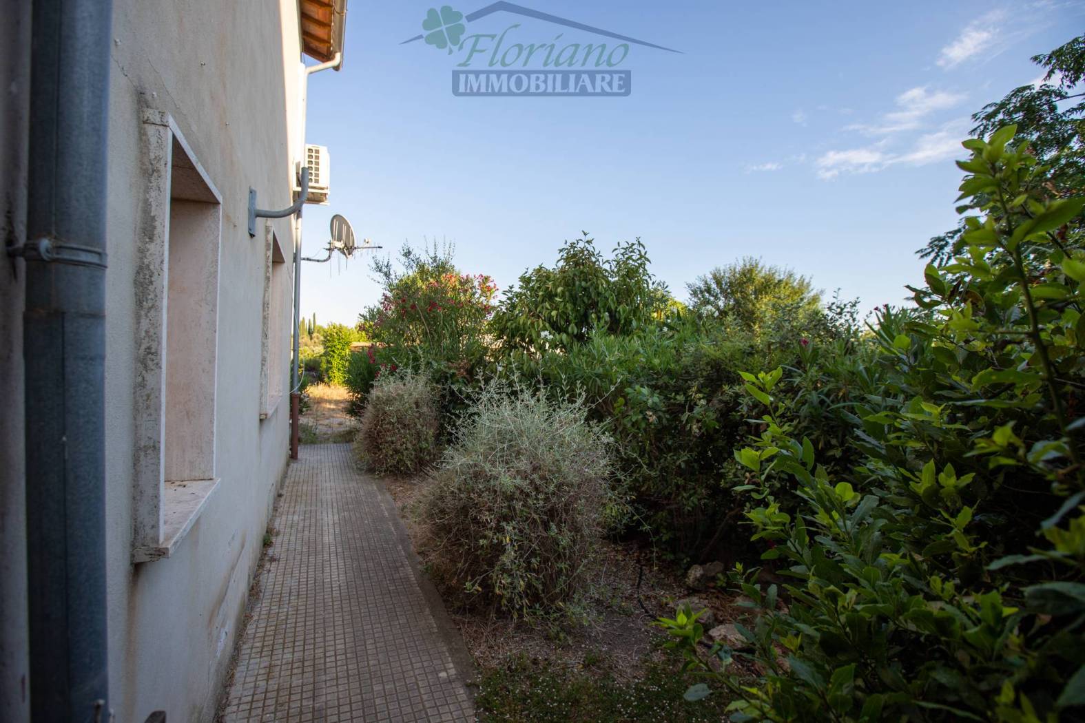 Giardino
