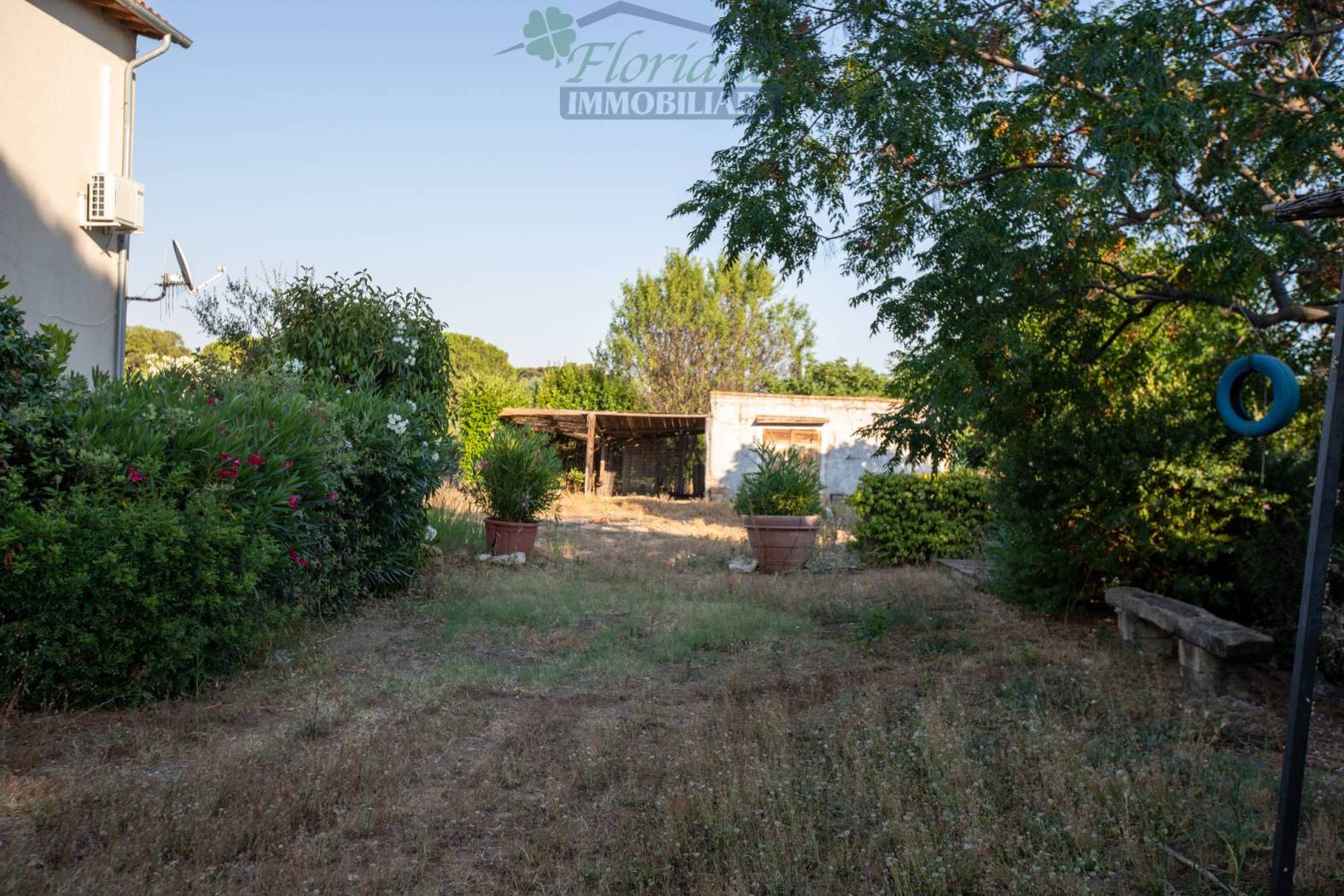 Giardino