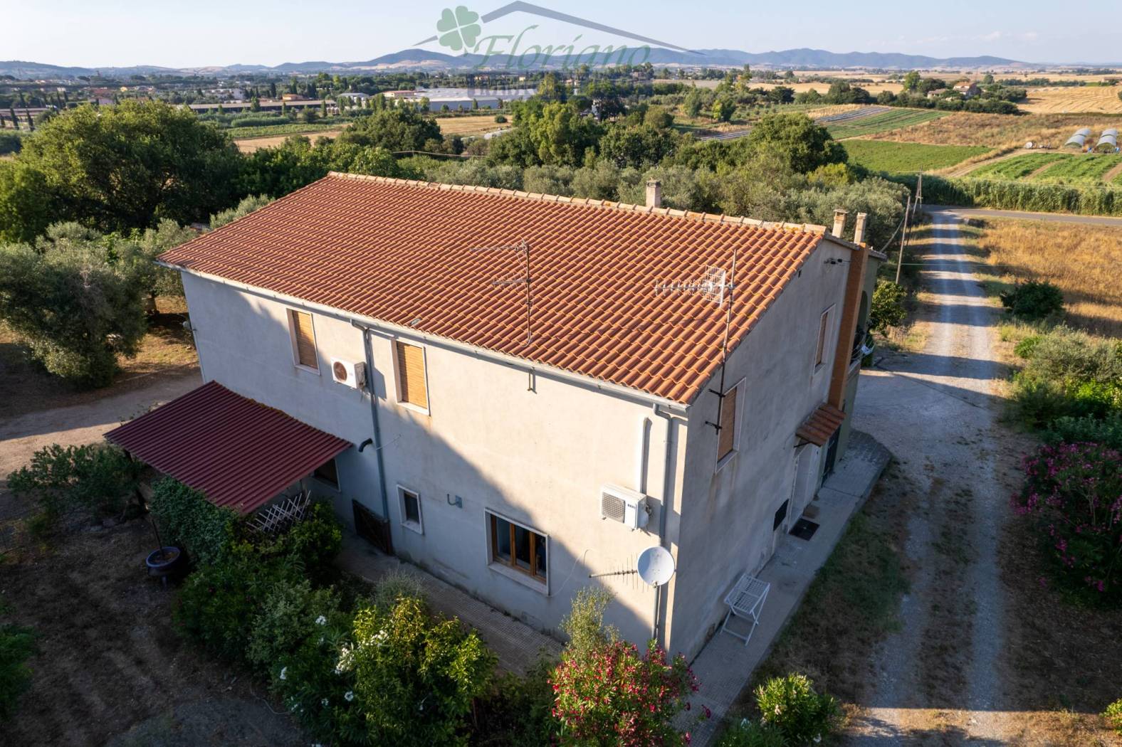 Vista