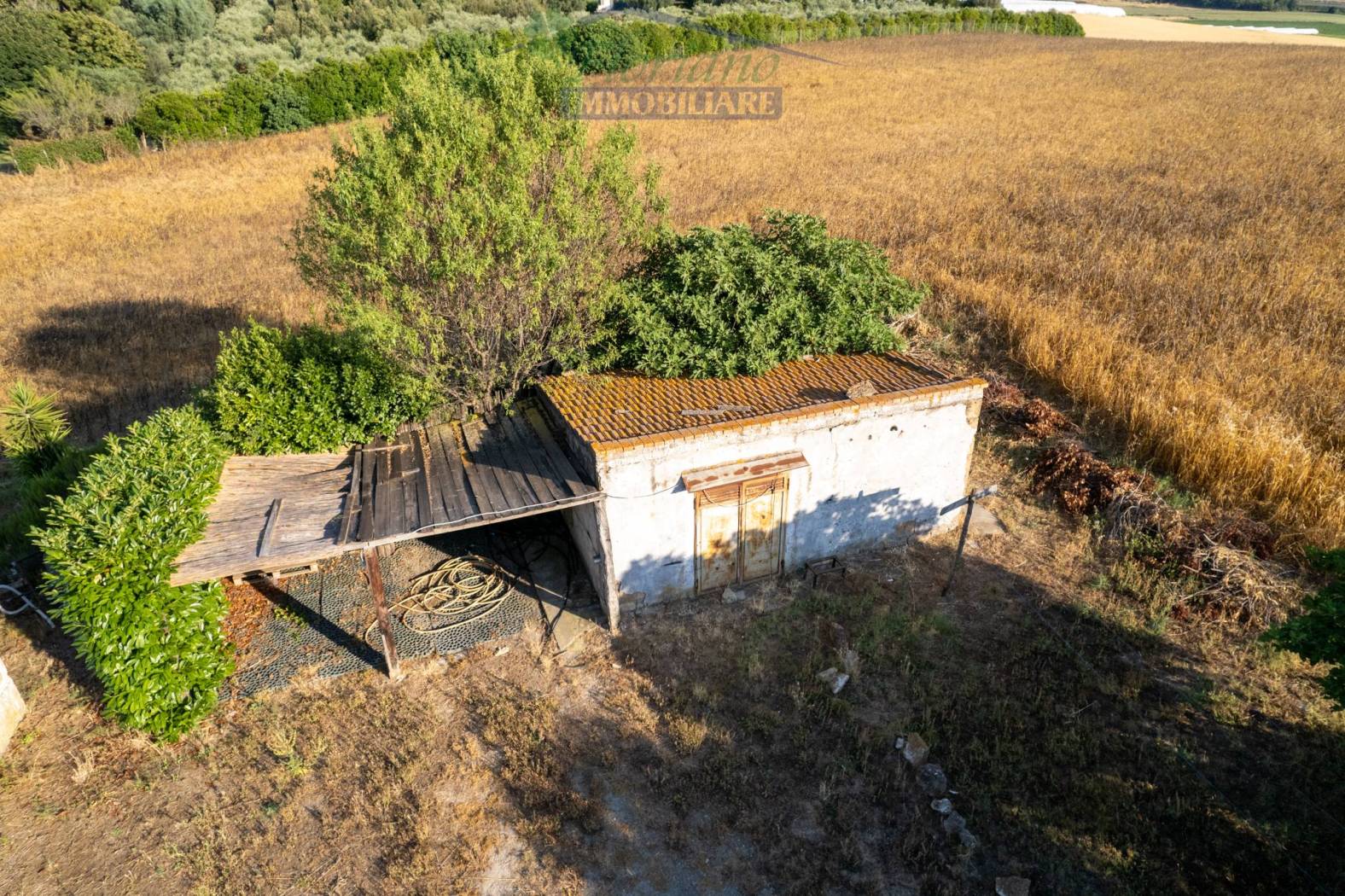 Terreno