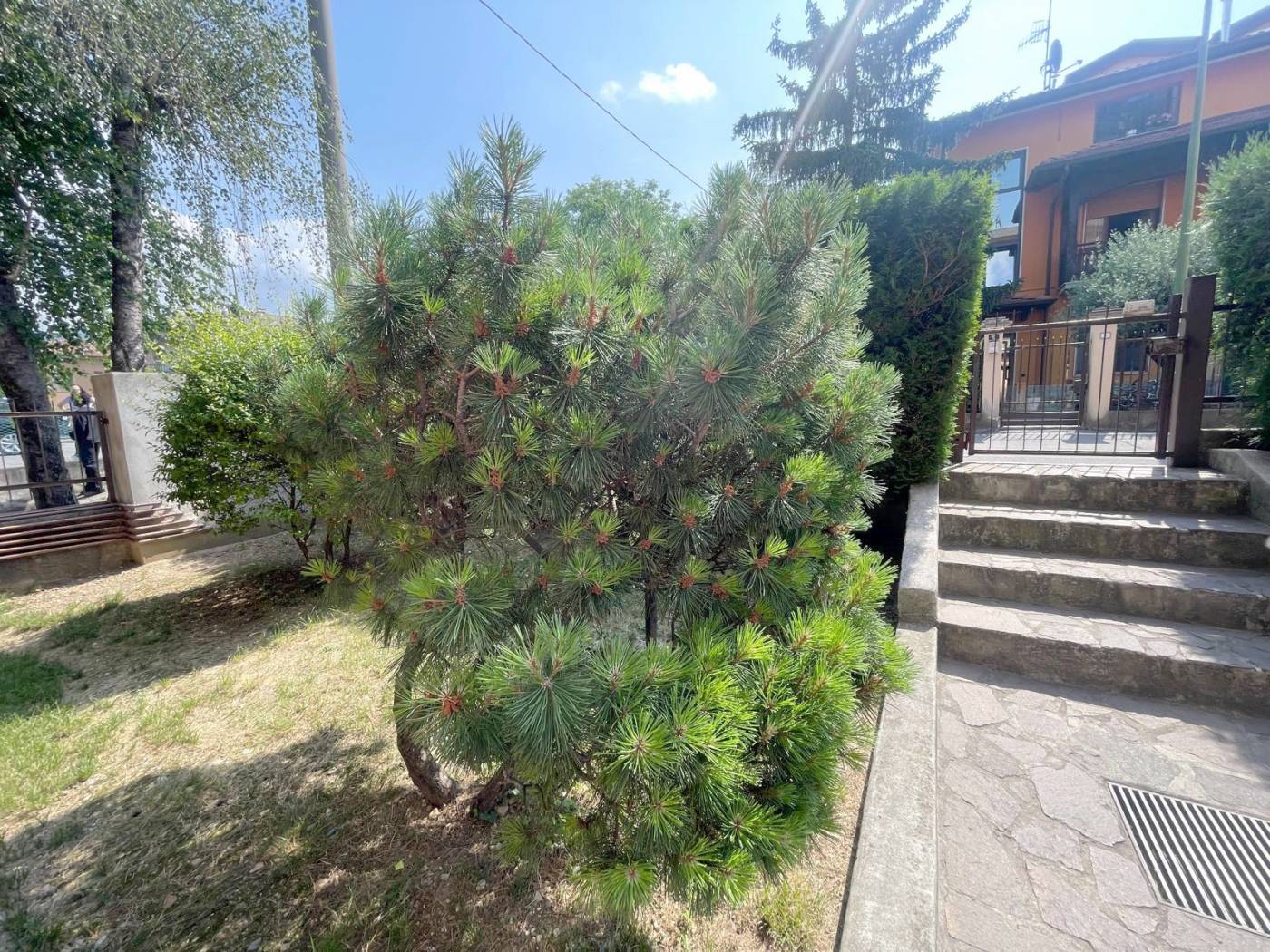 Giardino