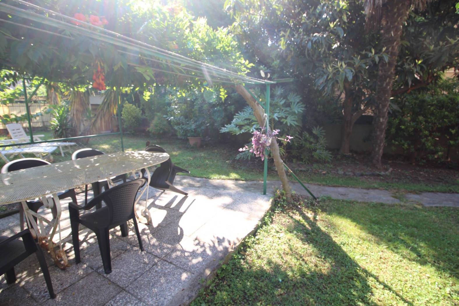 Giardino