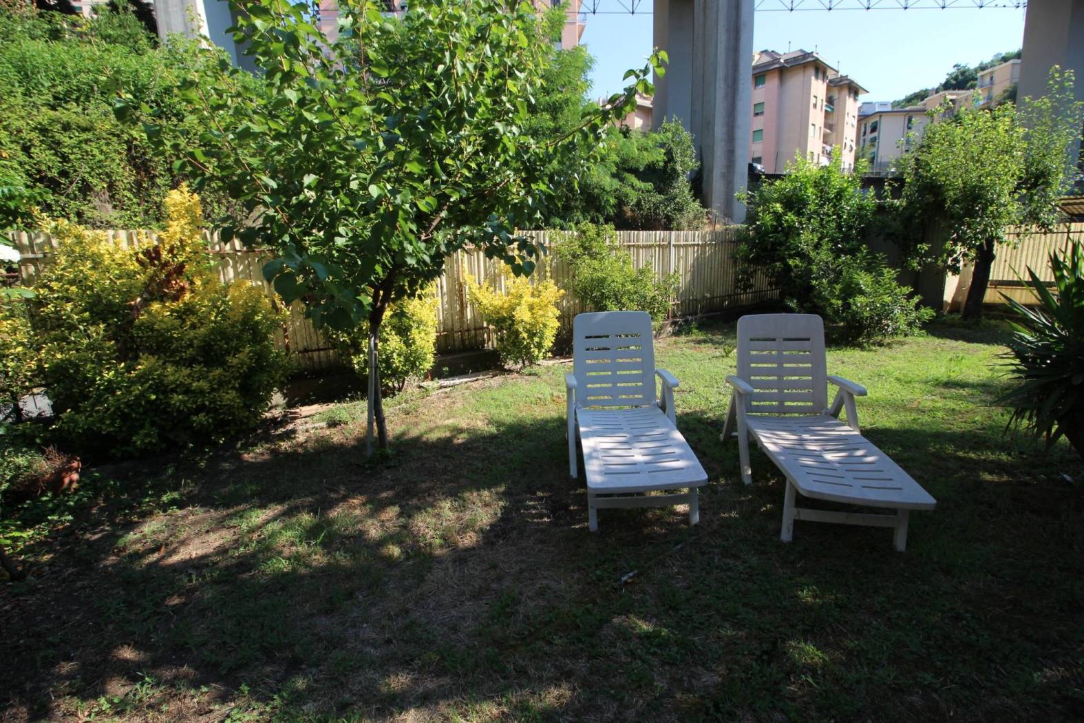 Giardino