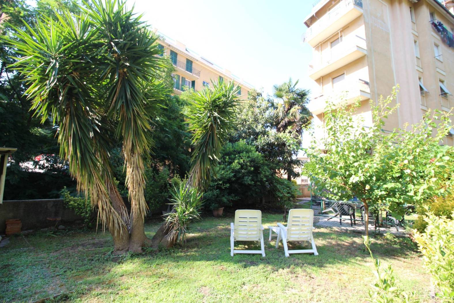 Giardino