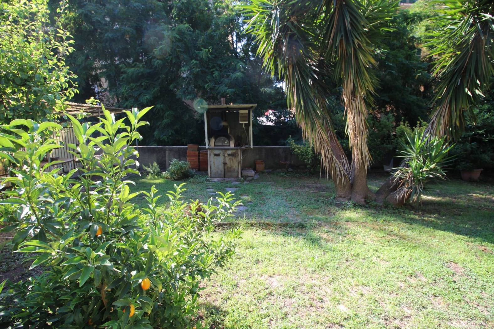 Giardino