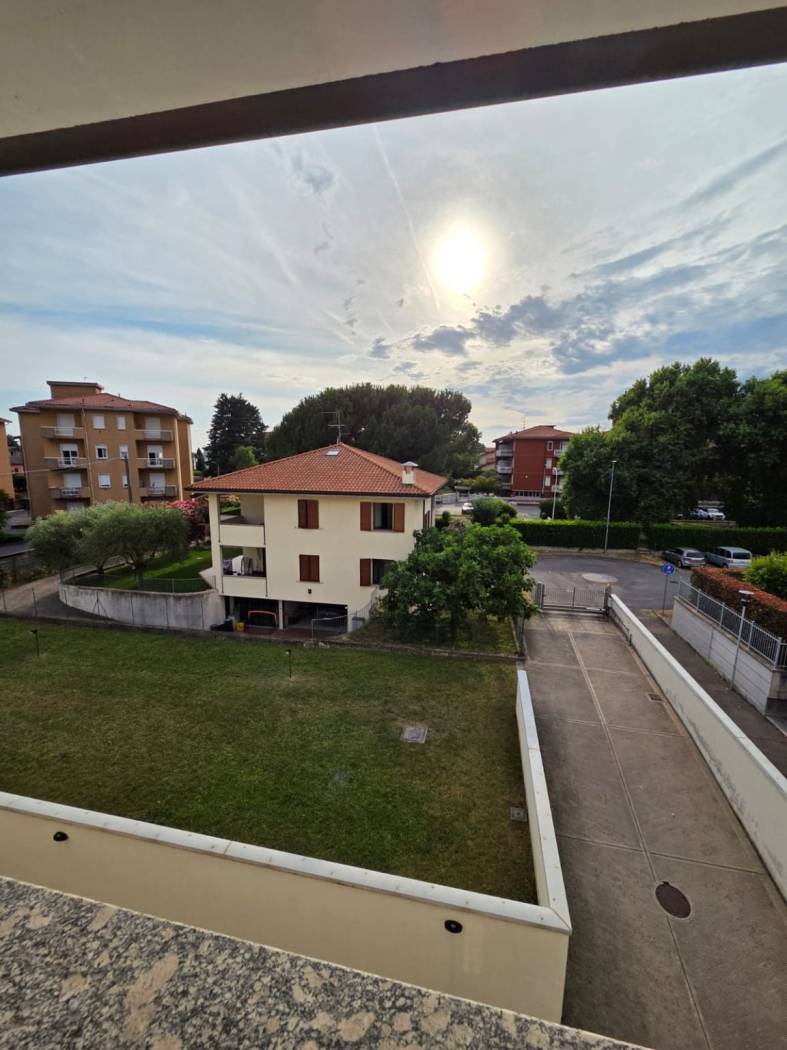 Vista