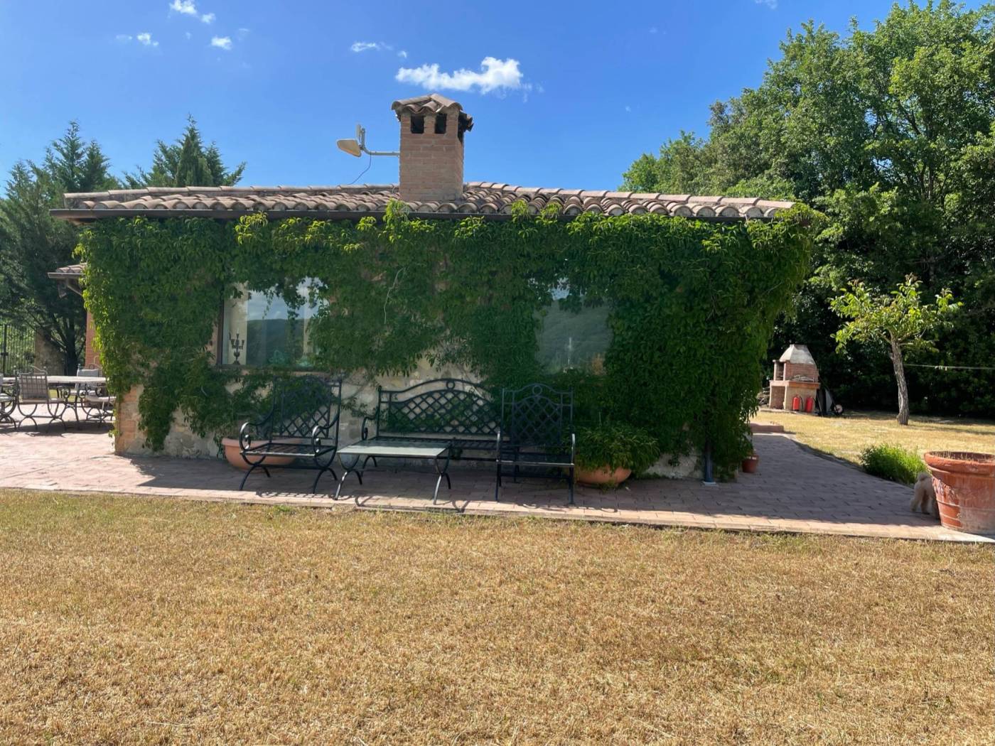 Giardino