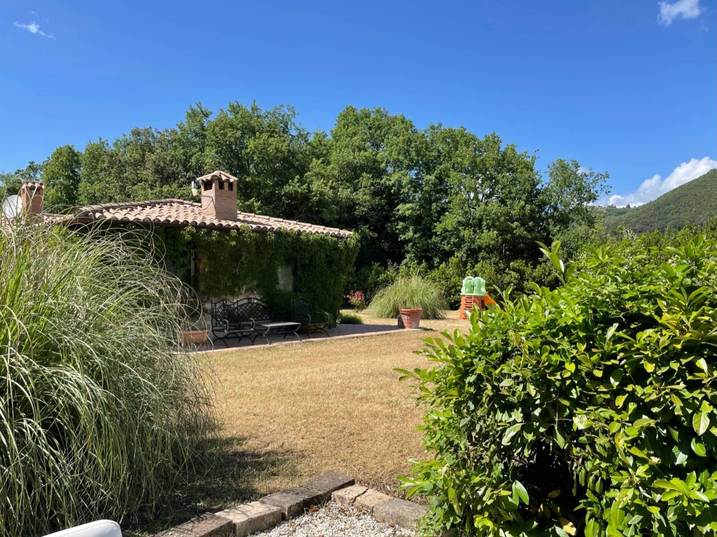 Giardino