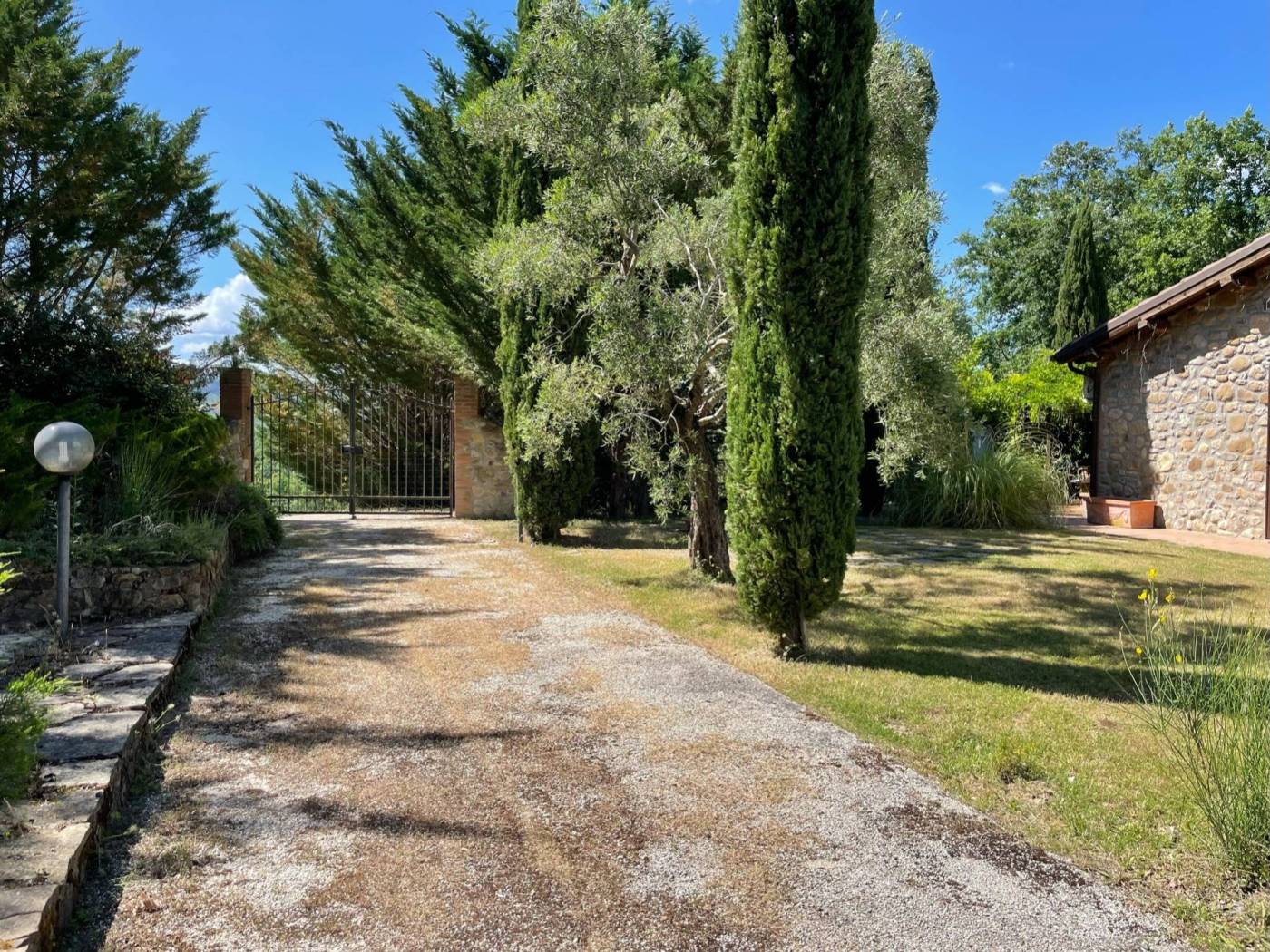 Giardino