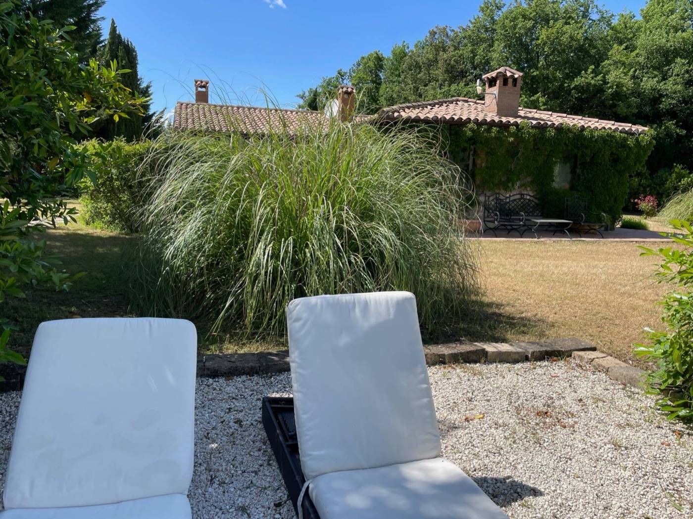 Giardino