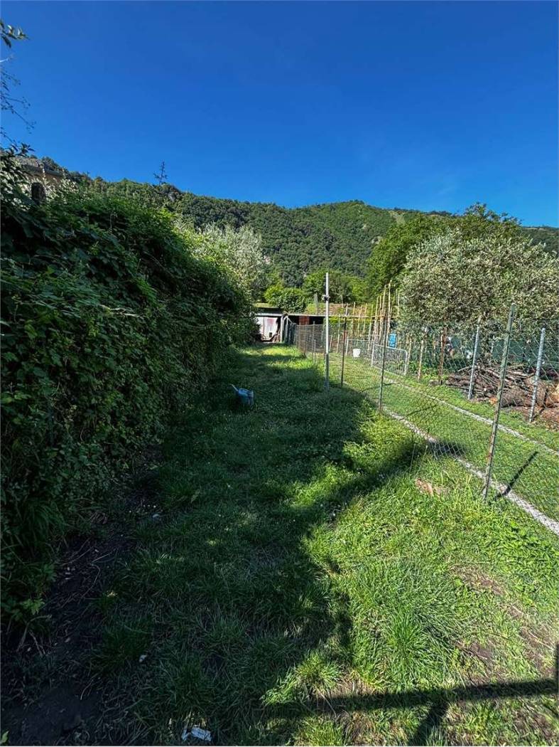 Terreno