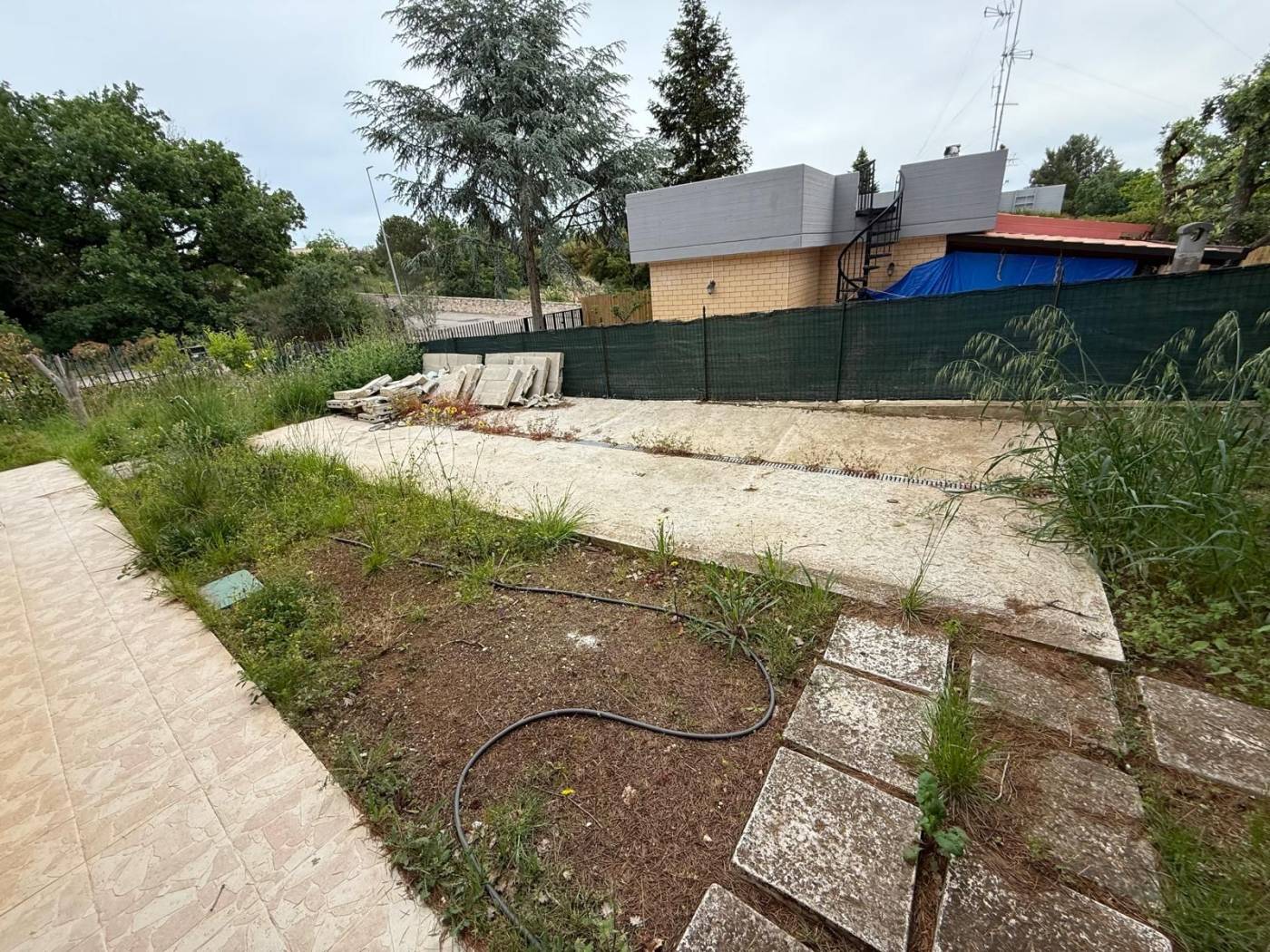 Giardino
