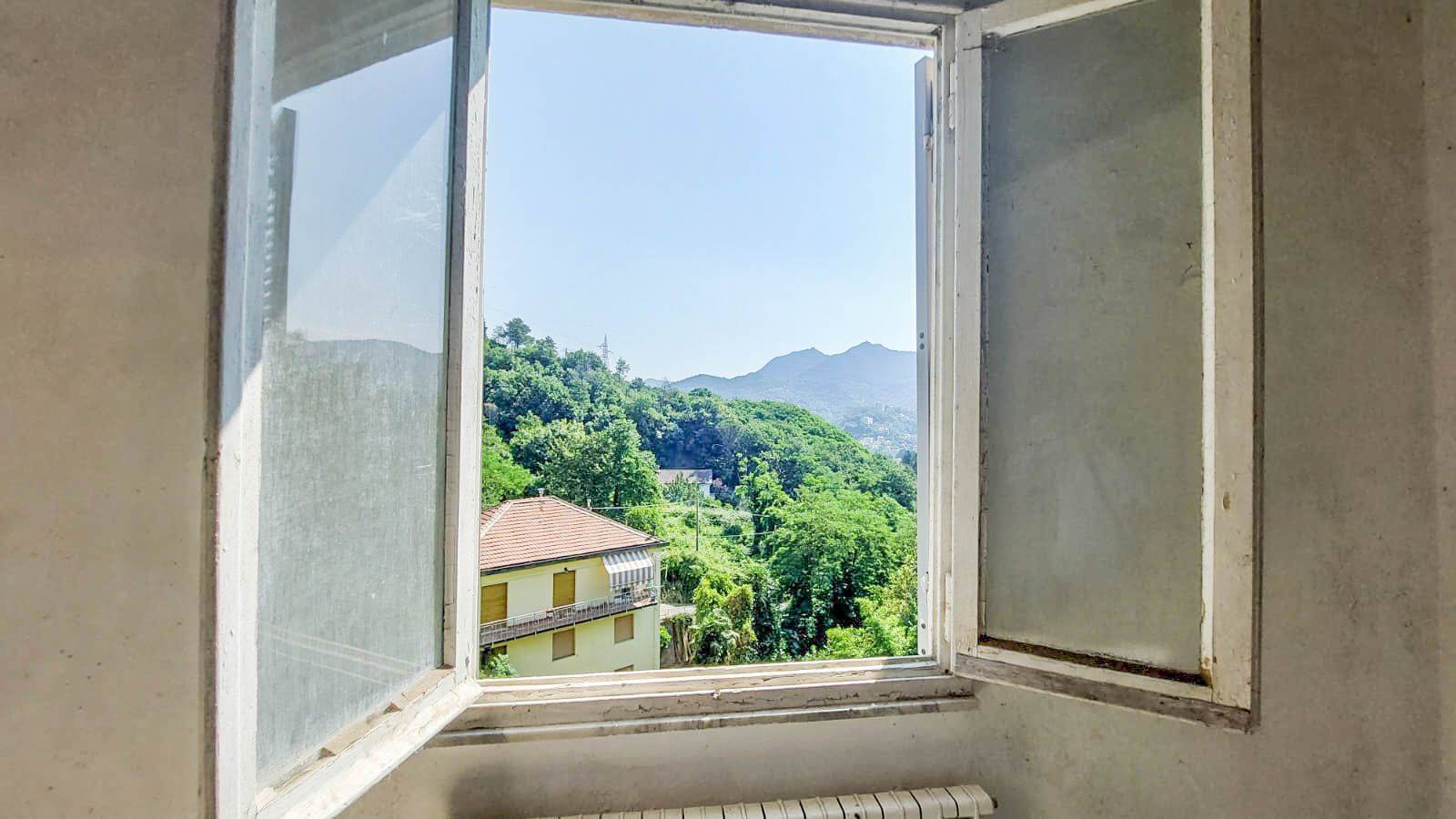 Vista