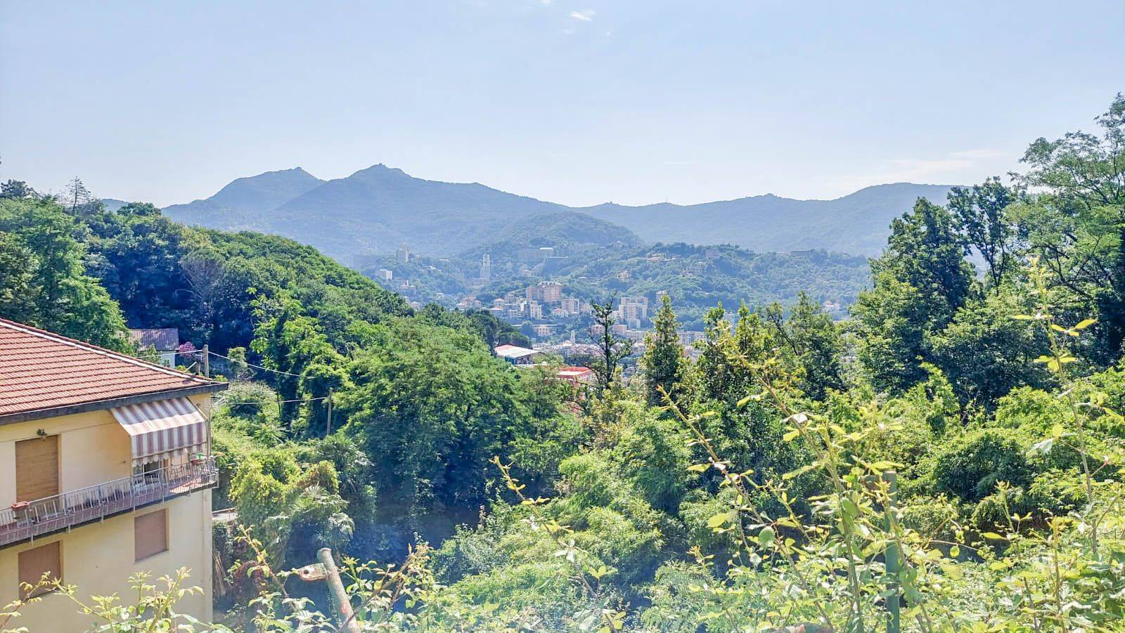 Vista