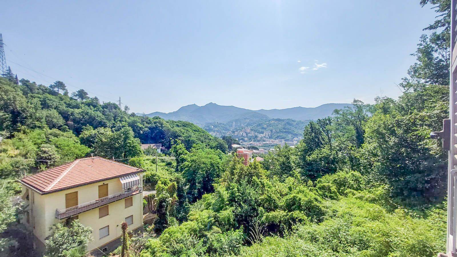 Vista