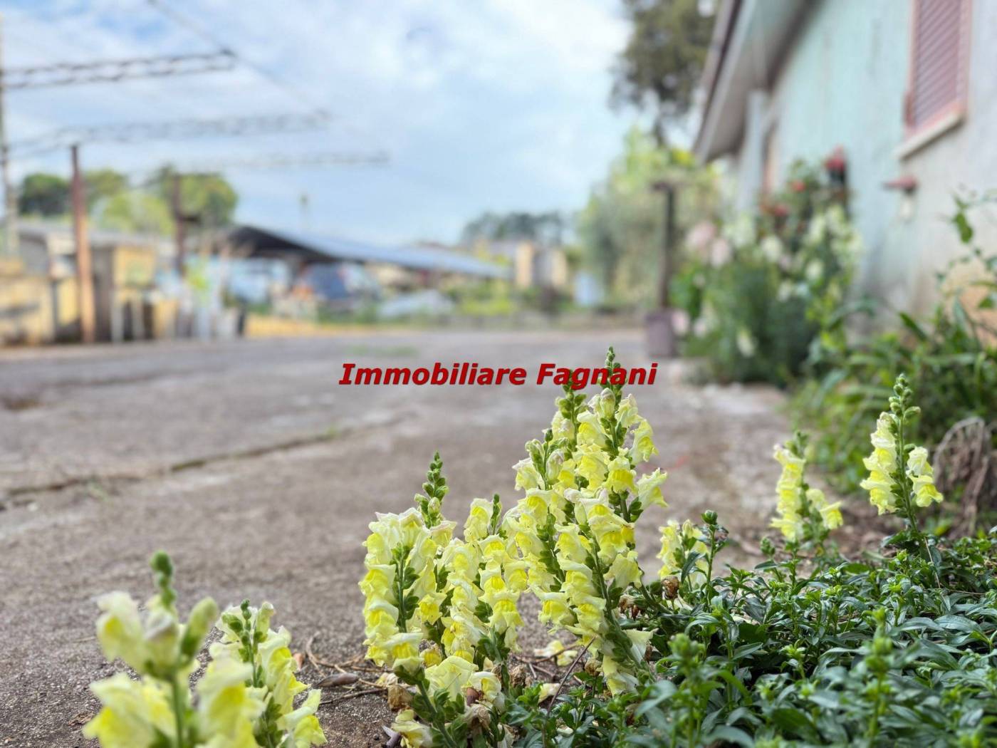 Terreno