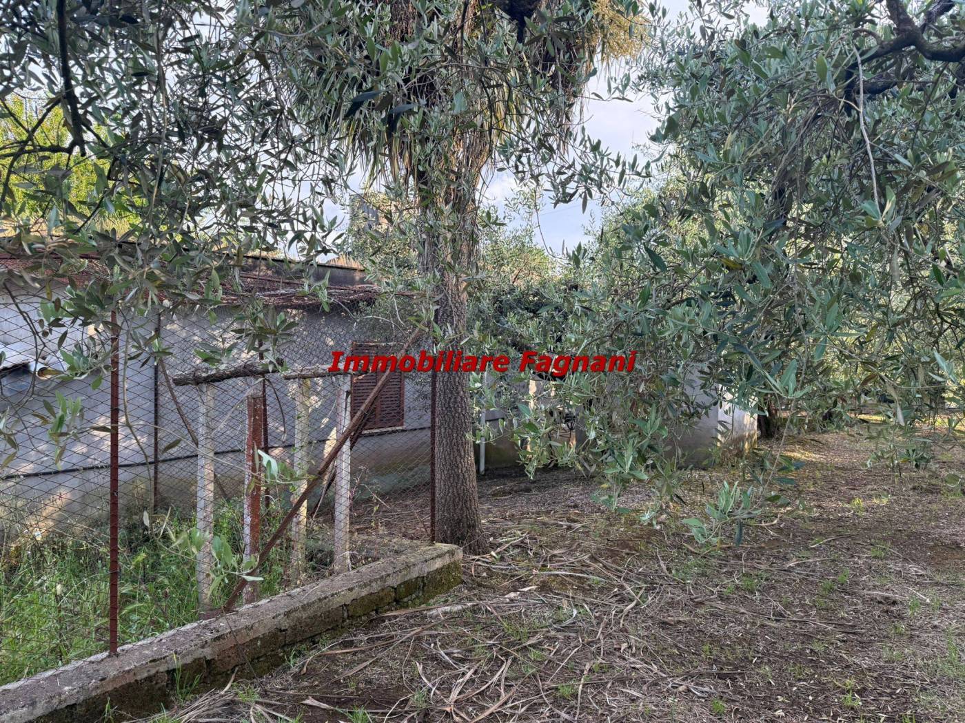 Terreno