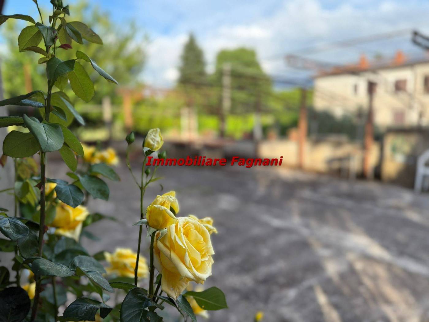 Giardino