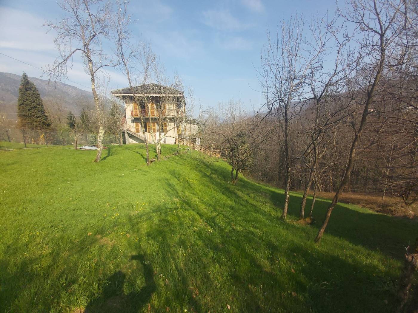 Terreno
