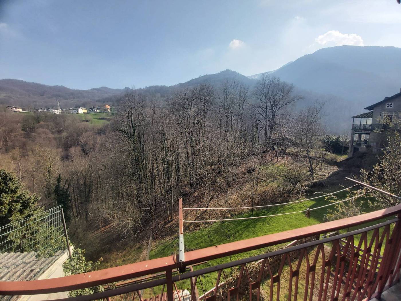 Vista
