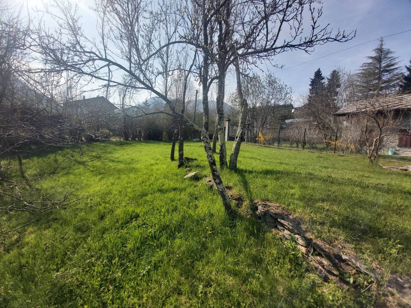 Terreno