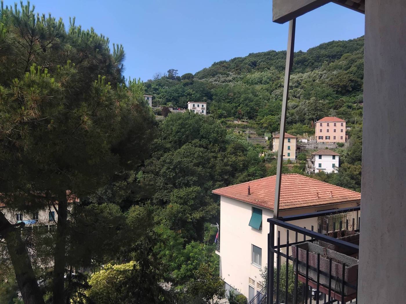 Vista