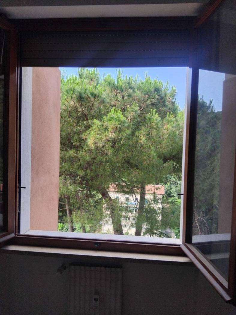 Vista