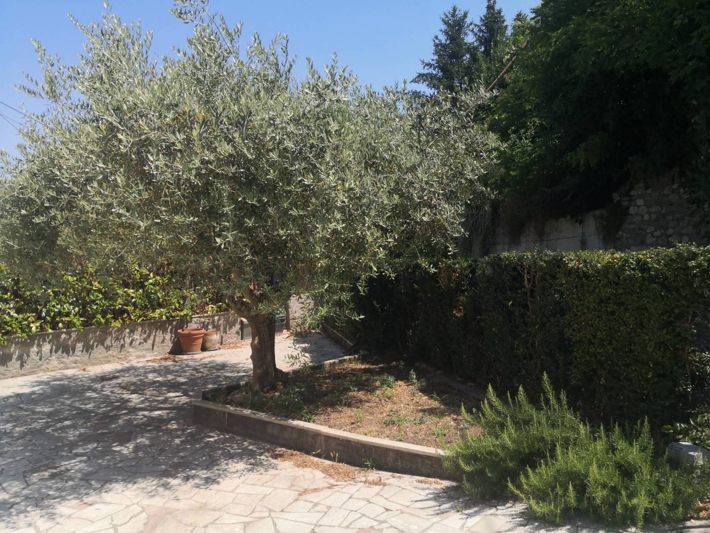 Giardino