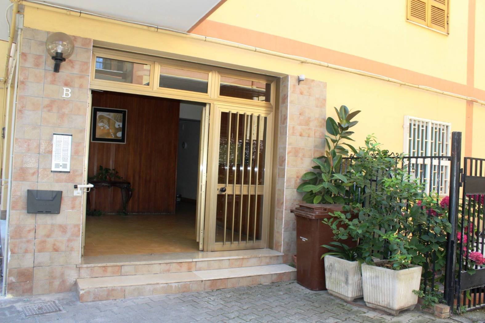 Ingresso