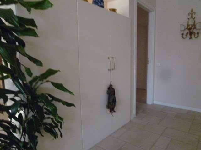 Ingresso