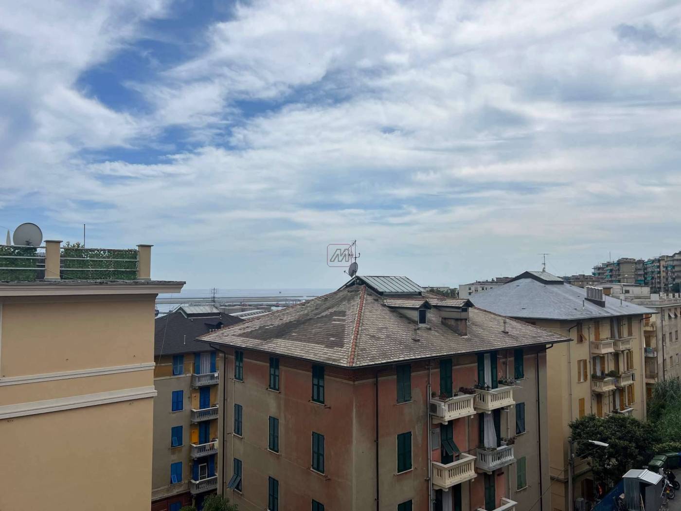 Vista