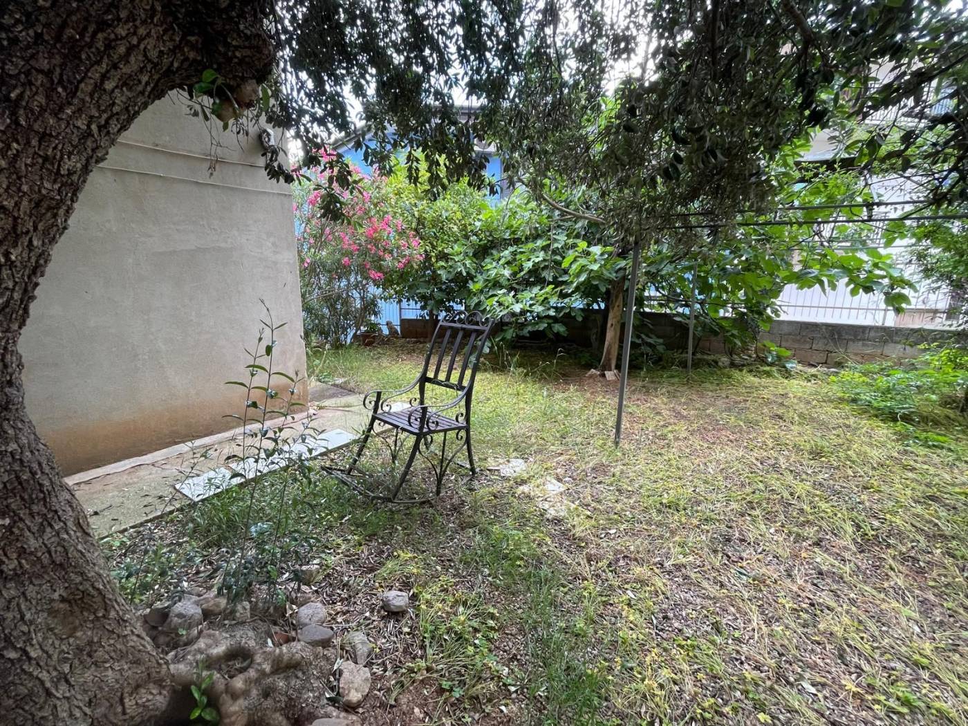 Giardino