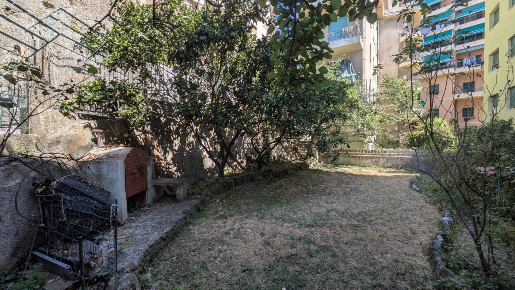 Giardino
