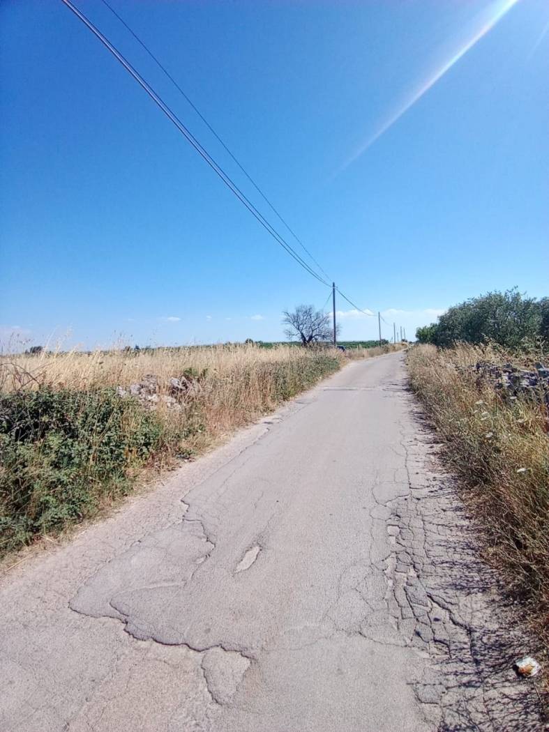 Terreno