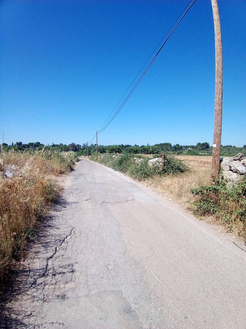 Terreno