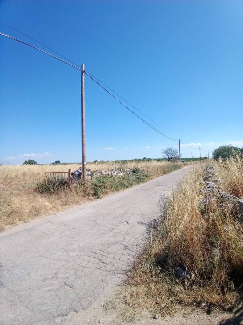 Terreno