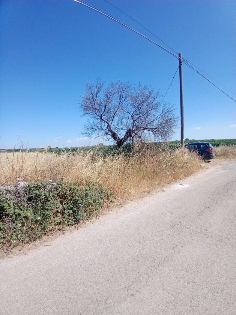 Terreno