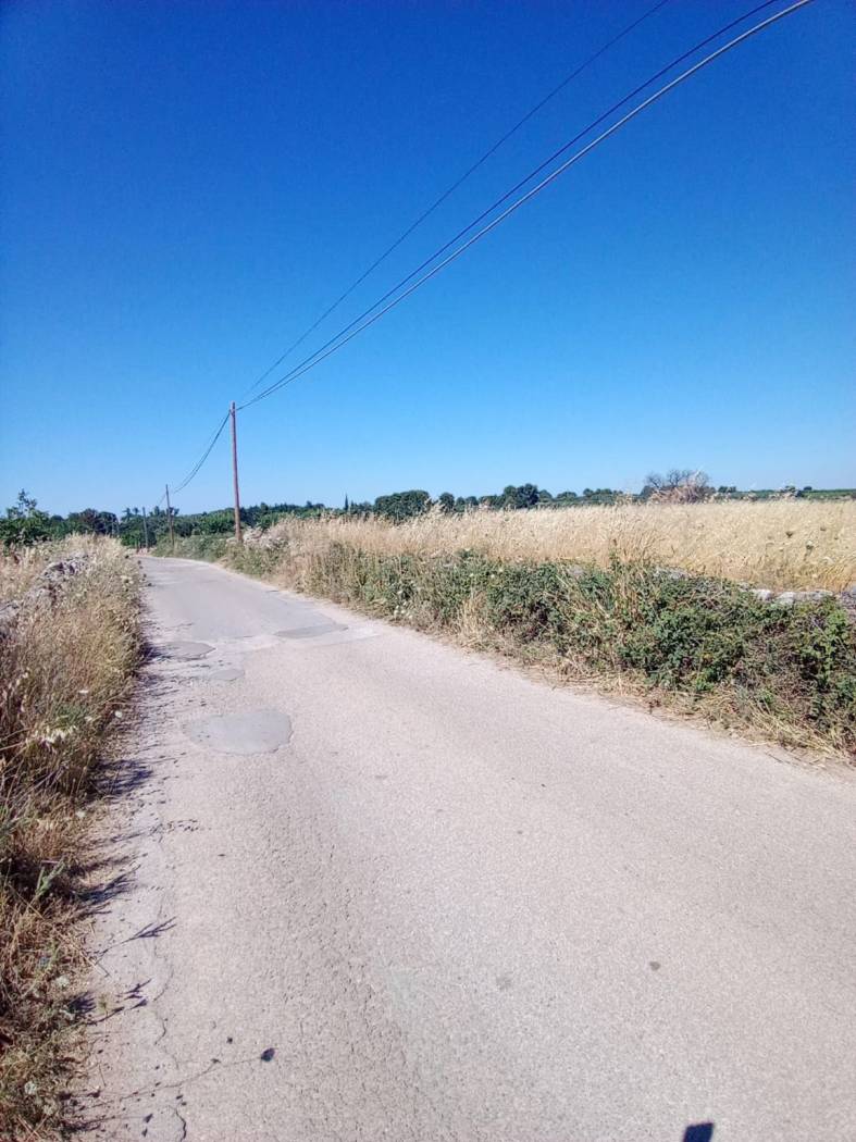 Zona