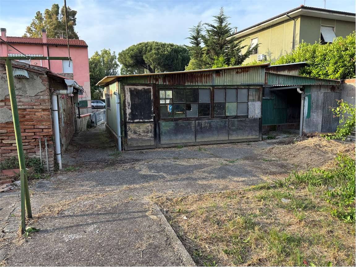 Terreno