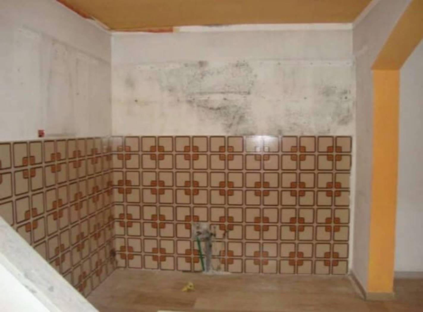 Salone Salone